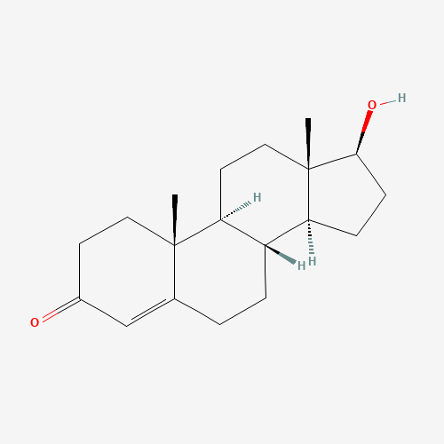 Sustanon (Prop 48 / PPP 96 / Isocap 96 / Dec) - Image 2
