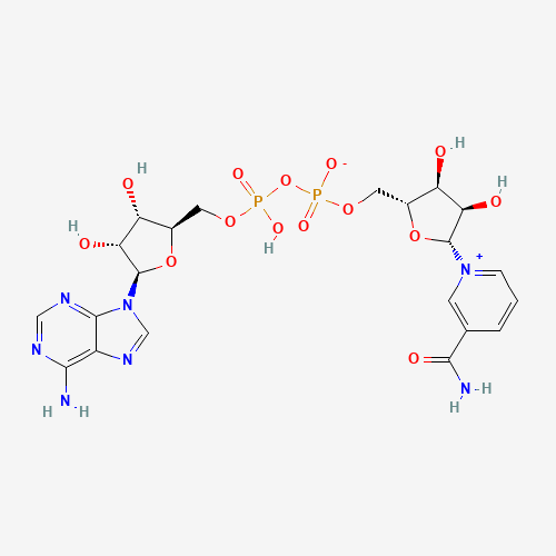 NAD+ + MOTS-C + 5-Amino 1MQ - Image 3